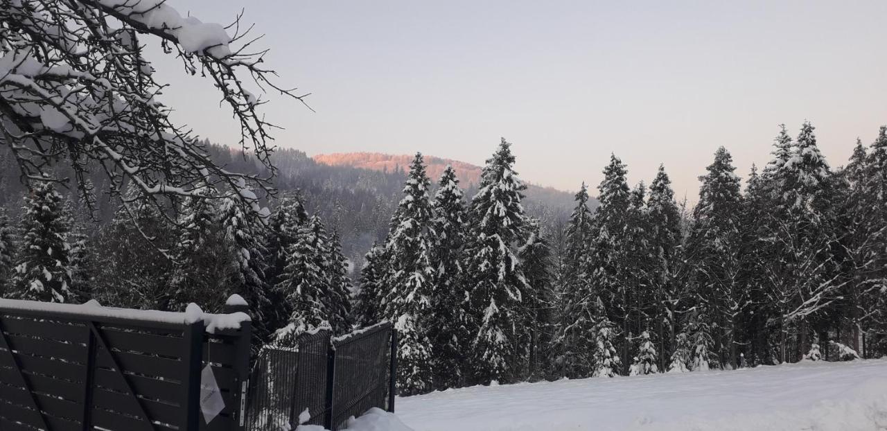 Dom Salamandra Z Panorama Gor Appartamento