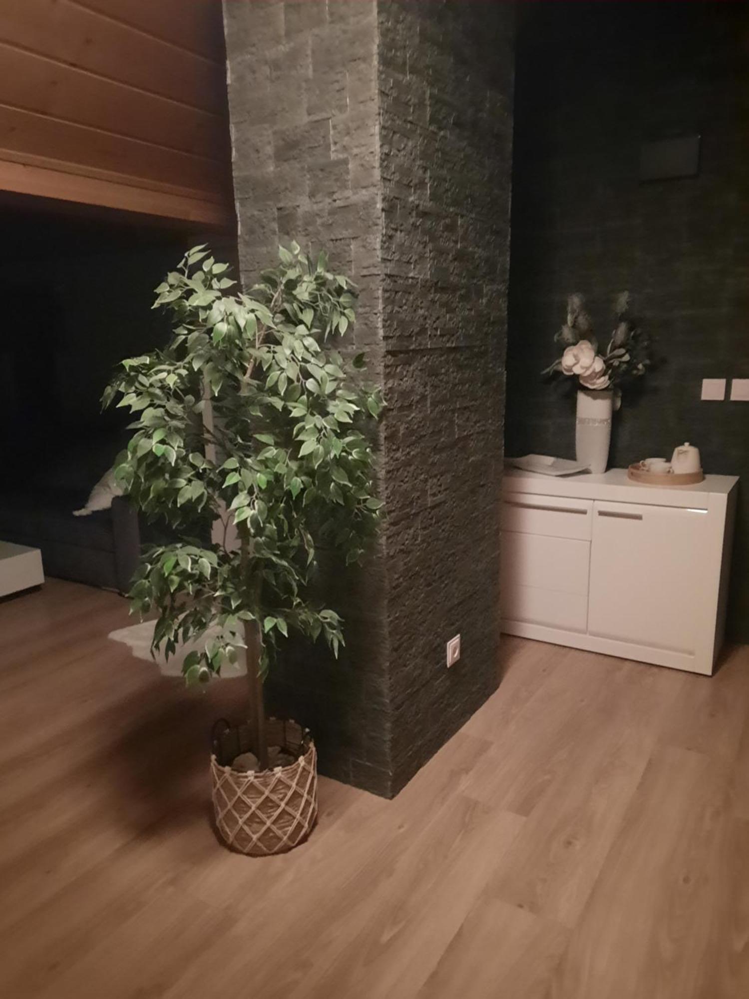 Apartment Dom Salamandra Z Panorama Gor